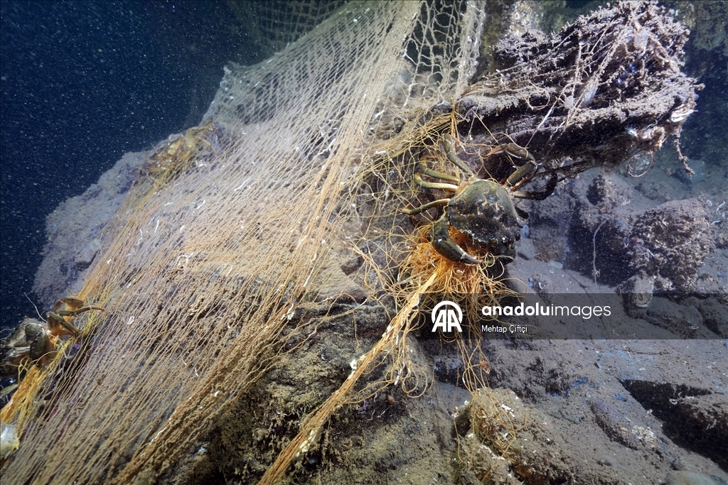 'Hayalet ağ' mavi sulardaki ekosistemi olumsuz etkiliyor