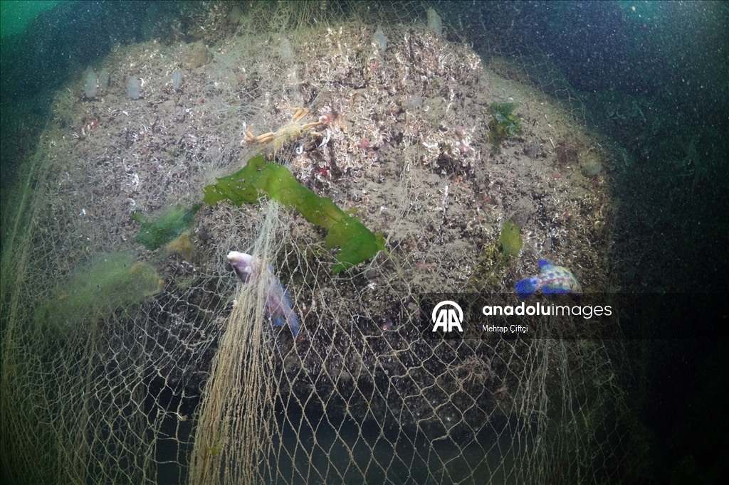 'Hayalet ağ' mavi sulardaki ekosistemi olumsuz etkiliyor