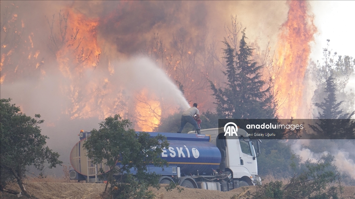 Tekirdağ'da çıkan orman yangını Çanakkale'ye sıçradı