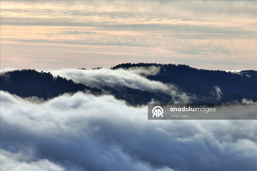 Kaliforniya'da yoğun sis etkileyici görüntüler oluşturdu