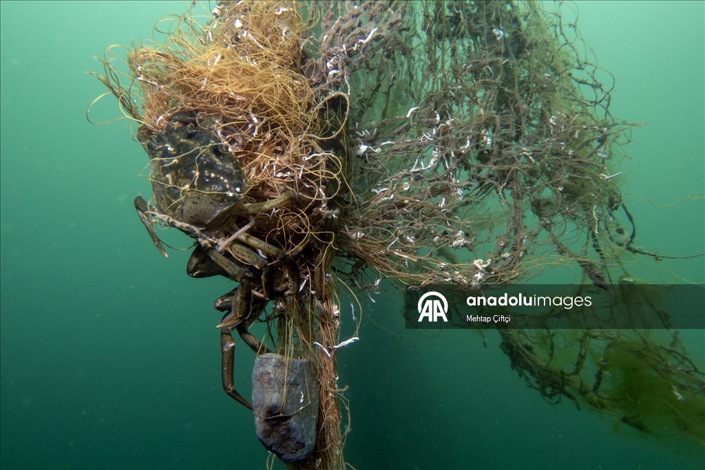 'Hayalet ağ' mavi sulardaki ekosistemi olumsuz etkiliyor