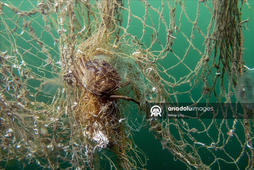 'Hayalet ağ' mavi sulardaki ekosistemi olumsuz etkiliyor