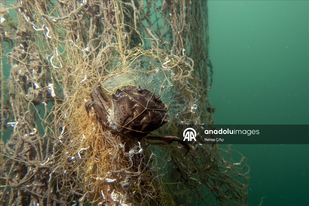 'Hayalet ağ' mavi sulardaki ekosistemi olumsuz etkiliyor