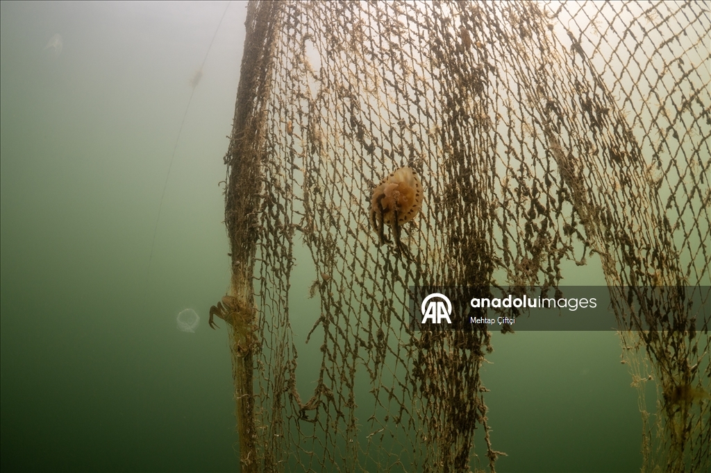'Hayalet ağ' mavi sulardaki ekosistemi olumsuz etkiliyor
