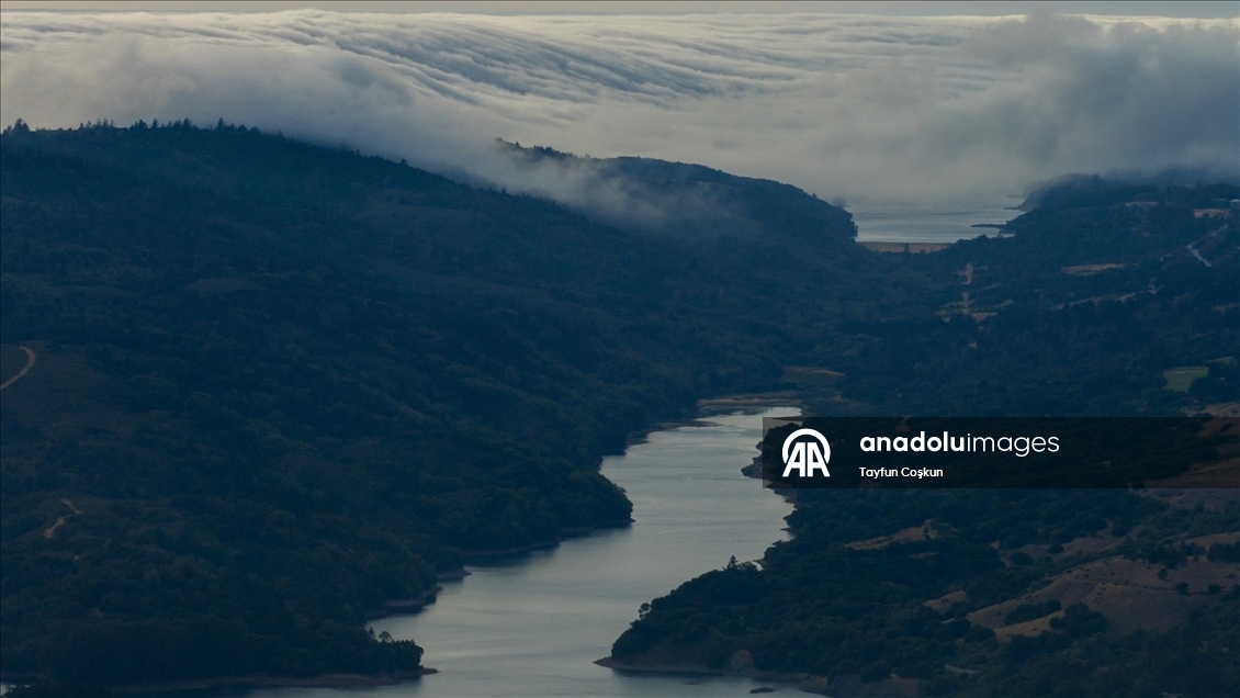 Kaliforniya'da yoğun sis etkileyici görüntüler oluşturdu