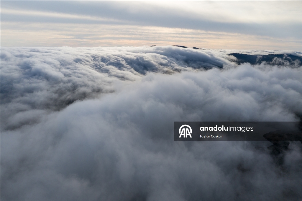 Kaliforniya'da yoğun sis etkileyici görüntüler oluşturdu