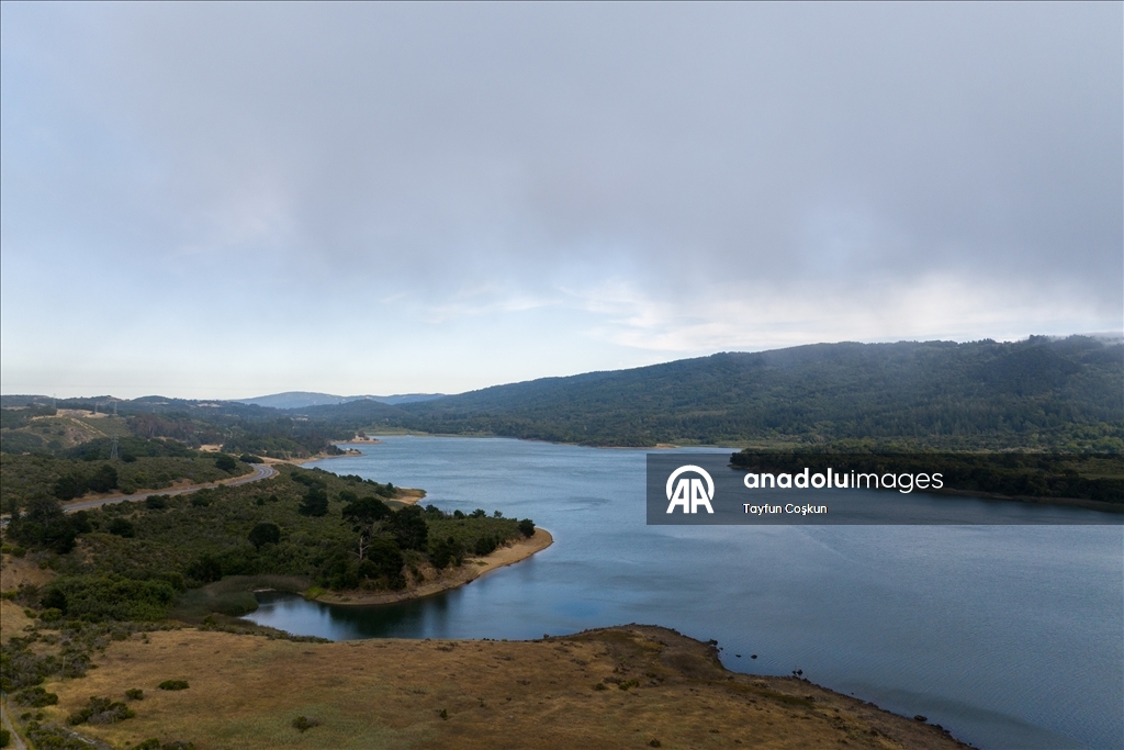 Kaliforniya'da yoğun sis etkileyici görüntüler oluşturdu