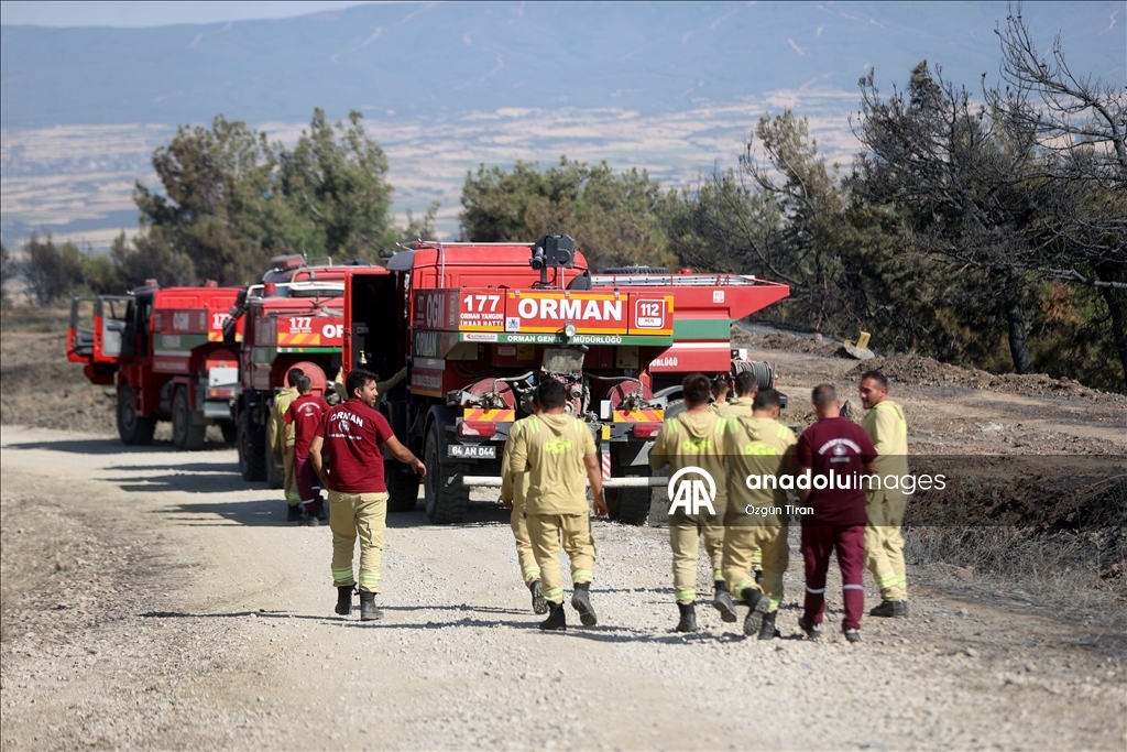 Tekirdağ'da çıkan orman yangını geniş alana yayıldı