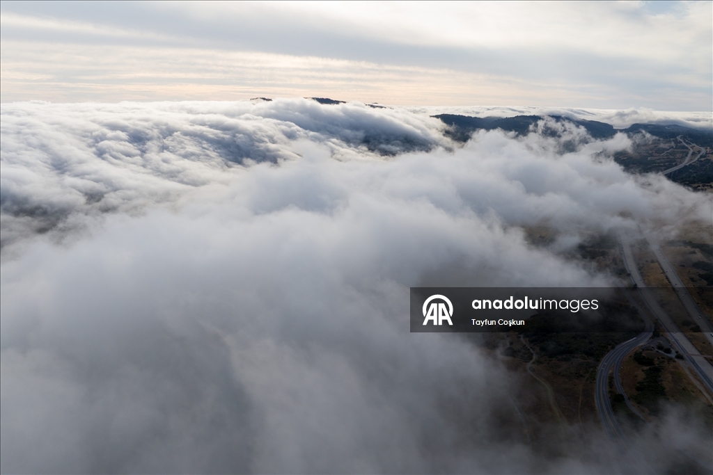 Kaliforniya'da yoğun sis etkileyici görüntüler oluşturdu
