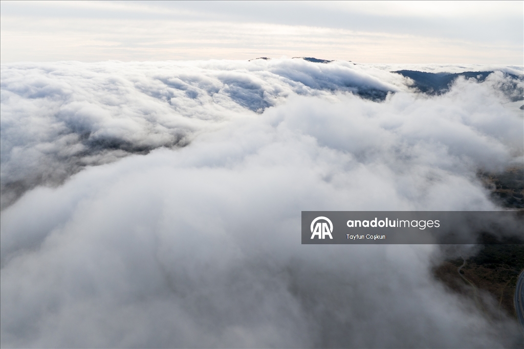 Kaliforniya'da yoğun sis etkileyici görüntüler oluşturdu