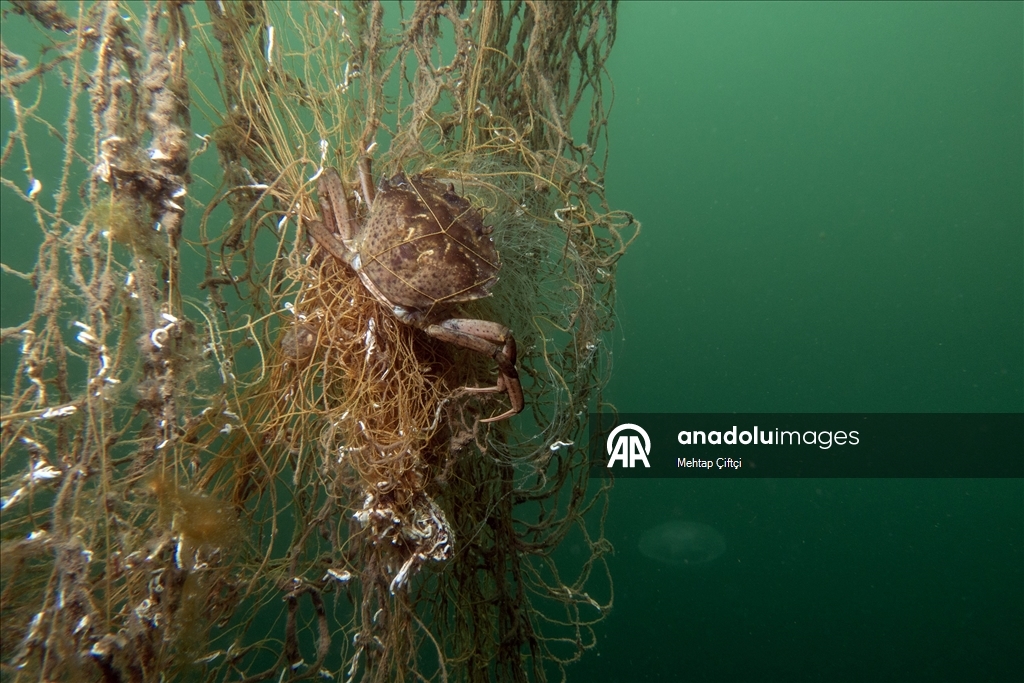 'Hayalet ağ' mavi sulardaki ekosistemi olumsuz etkiliyor