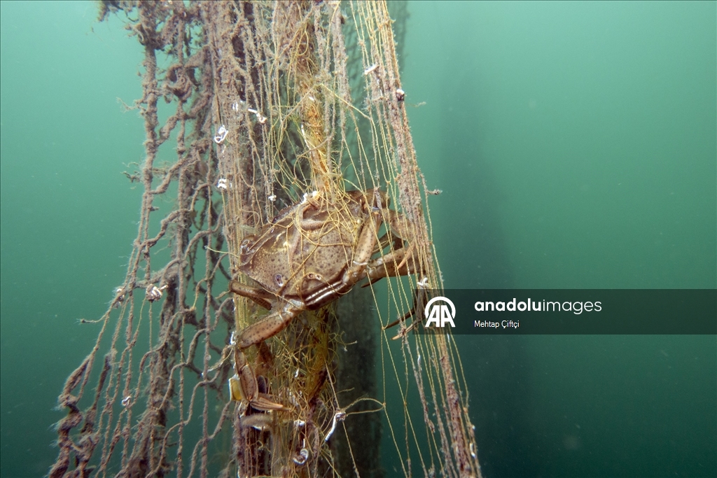 'Hayalet ağ' mavi sulardaki ekosistemi olumsuz etkiliyor