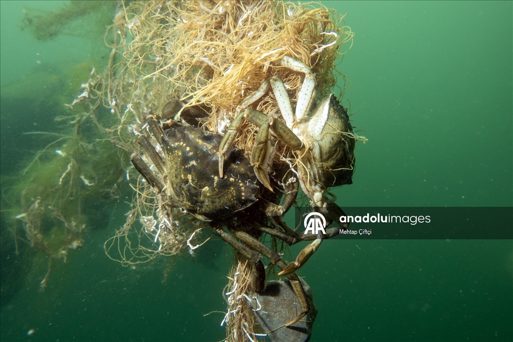 'Hayalet ağ' mavi sulardaki ekosistemi olumsuz etkiliyor