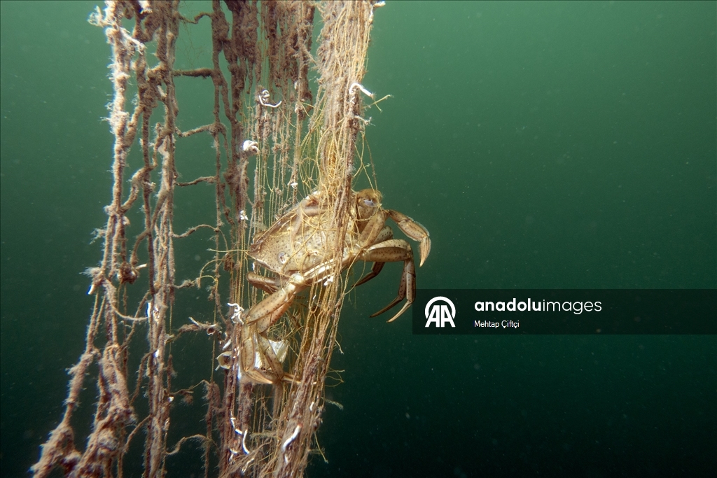 'Hayalet ağ' mavi sulardaki ekosistemi olumsuz etkiliyor