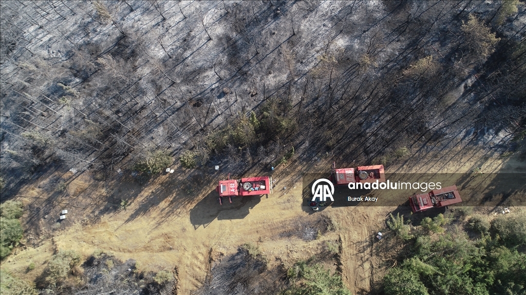 Tekirdağ'dan Çanakkale'ye sıçrayan yangında zarar gören alanlar dronla görüntülendi
