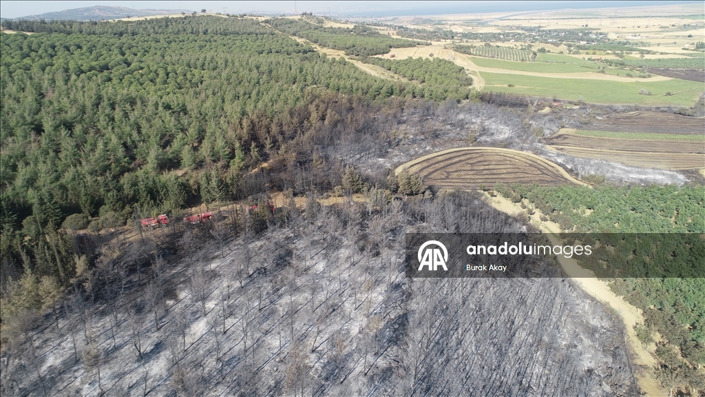 Tekirdağ'dan Çanakkale'ye sıçrayan yangında zarar gören alanlar dronla görüntülendi