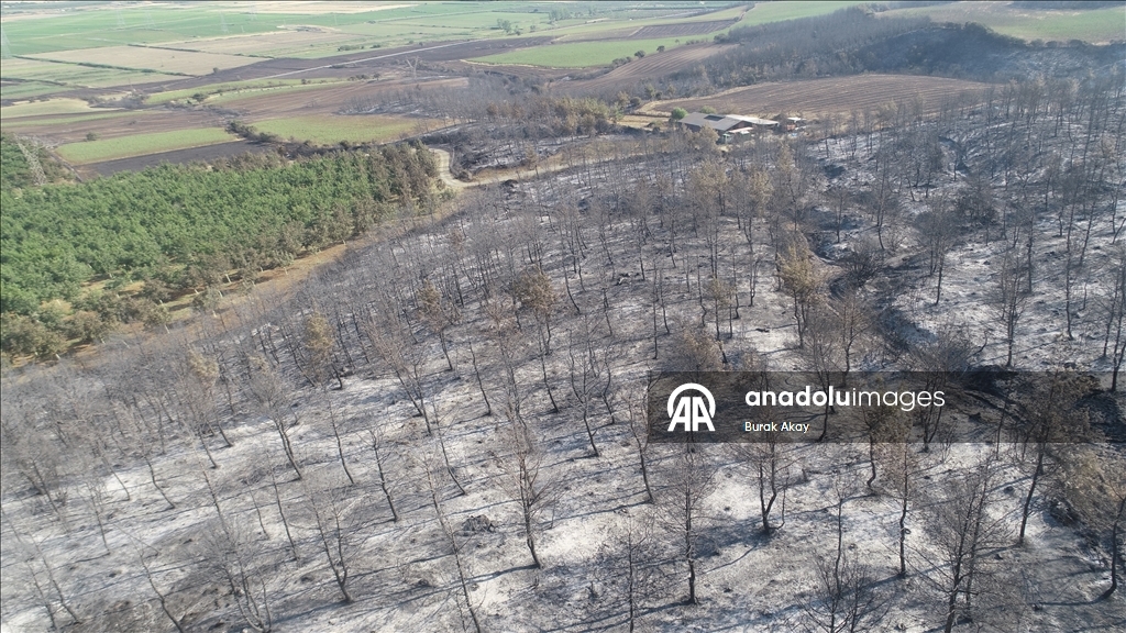 Tekirdağ'dan Çanakkale'ye sıçrayan yangında zarar gören alanlar dronla görüntülendi