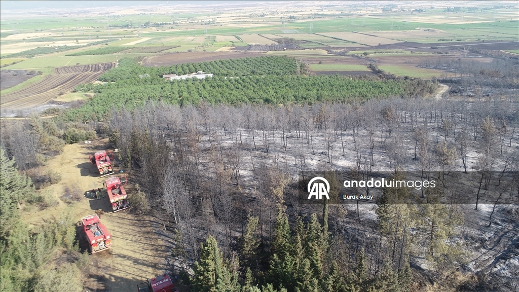 Tekirdağ'dan Çanakkale'ye sıçrayan yangında zarar gören alanlar dronla görüntülendi