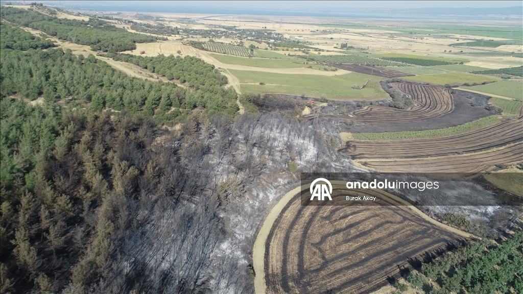 Tekirdağ'dan Çanakkale'ye sıçrayan yangında zarar gören alanlar dronla görüntülendi