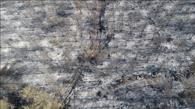 Tekirdağ'dan Çanakkale'ye sıçrayan yangında zarar gören alanlar dronla görüntülendi