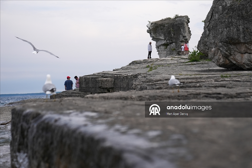 Kanada'nın popüler destinasyonlarından Flowerpot Adası