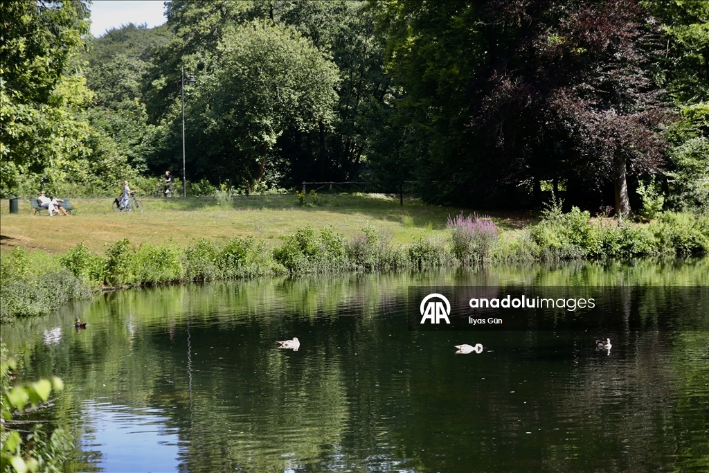 Hollanda'daki Park Sonsbeek, 126 yıldır Arnhem sakinlerine huzurlu vakit geçirme imkanı sunuyor