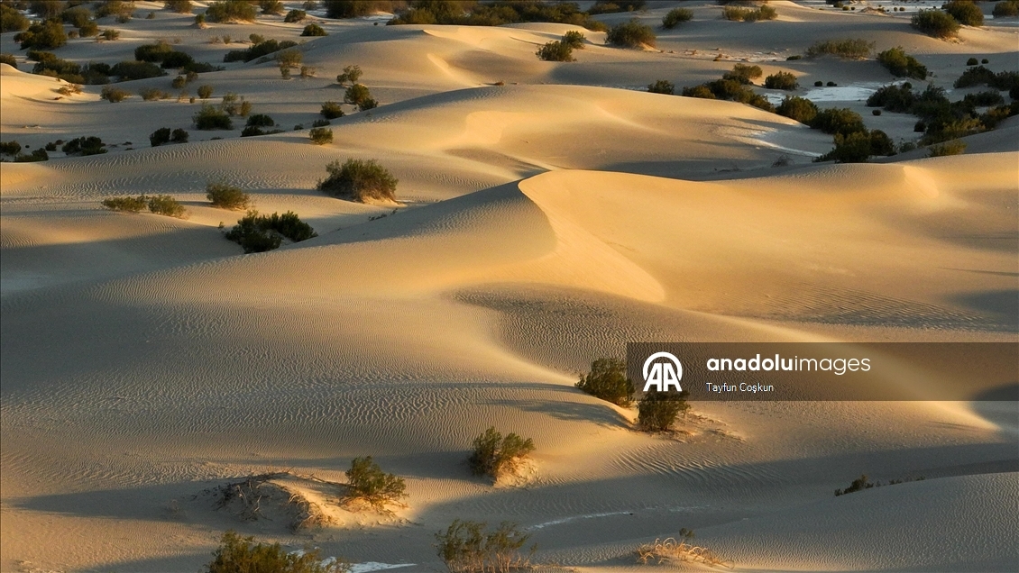 ABD'nin California eyaletindeki Ölüm Vadisi'nde termometreler 46°C'yi gösterdi