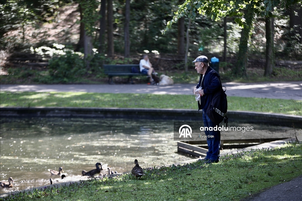 Hollanda'daki Park Sonsbeek, 126 yıldır Arnhem sakinlerine huzurlu vakit geçirme imkanı sunuyor
