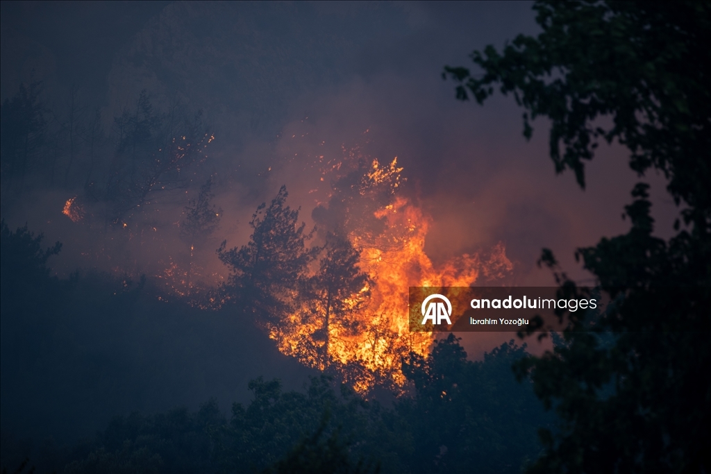 Sakarya'da ormanlık alanda çıkan yangına müdahale ediliyor