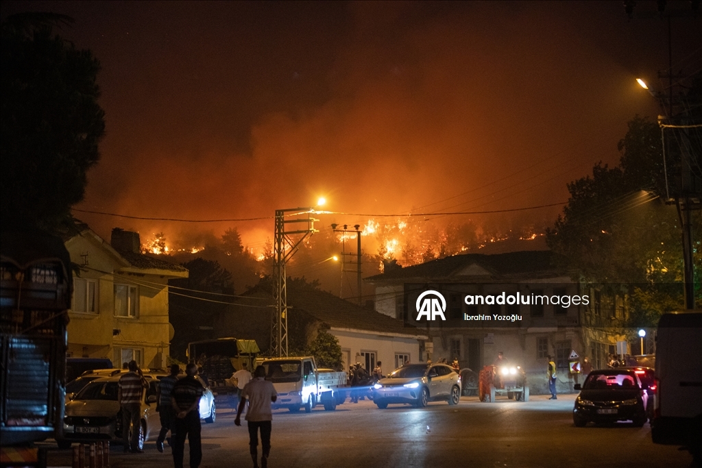 Sakarya'da ormanlık alanda çıkan yangına müdahale ediliyor