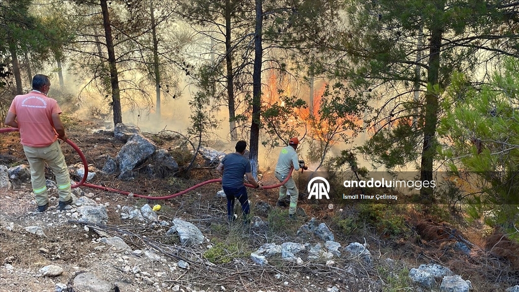 Sakarya'da ormanlık alanda çıkan yangına müdahale ediliyor