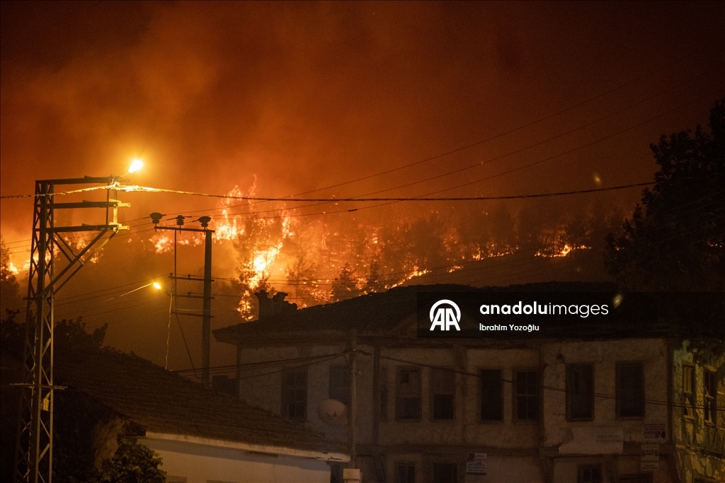 Sakarya'da ormanlık alanda çıkan yangına müdahale ediliyor