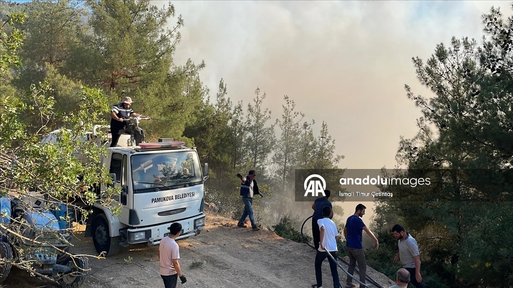 Sakarya'da ormanlık alanda çıkan yangına müdahale ediliyor