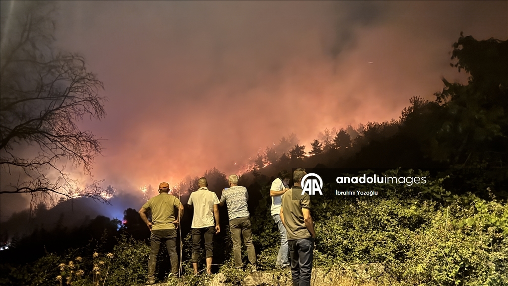 Sakarya'da ormanlık alanda çıkan yangına müdahale ediliyor