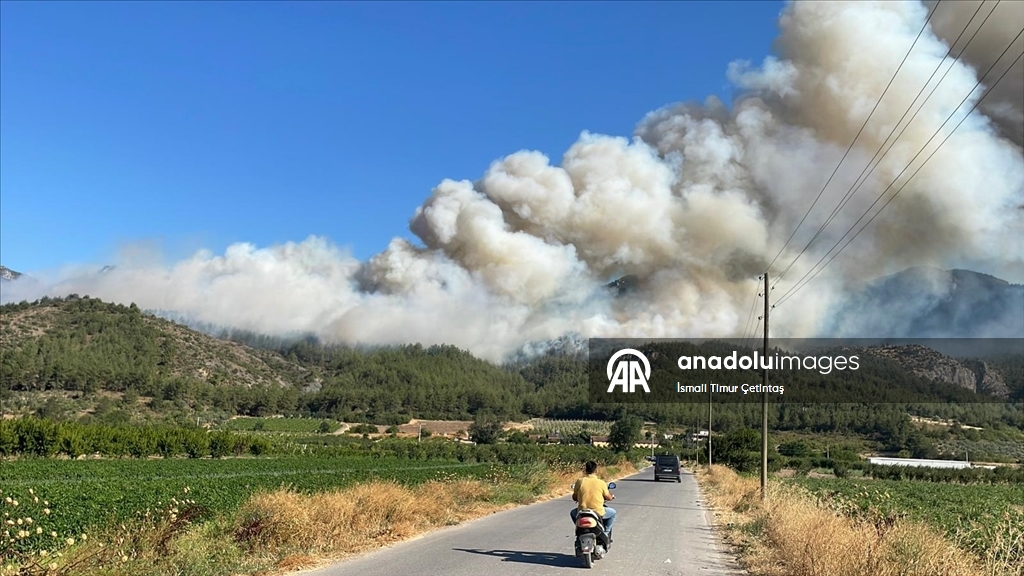 Sakarya'da ormanlık alanda çıkan yangına müdahale ediliyor