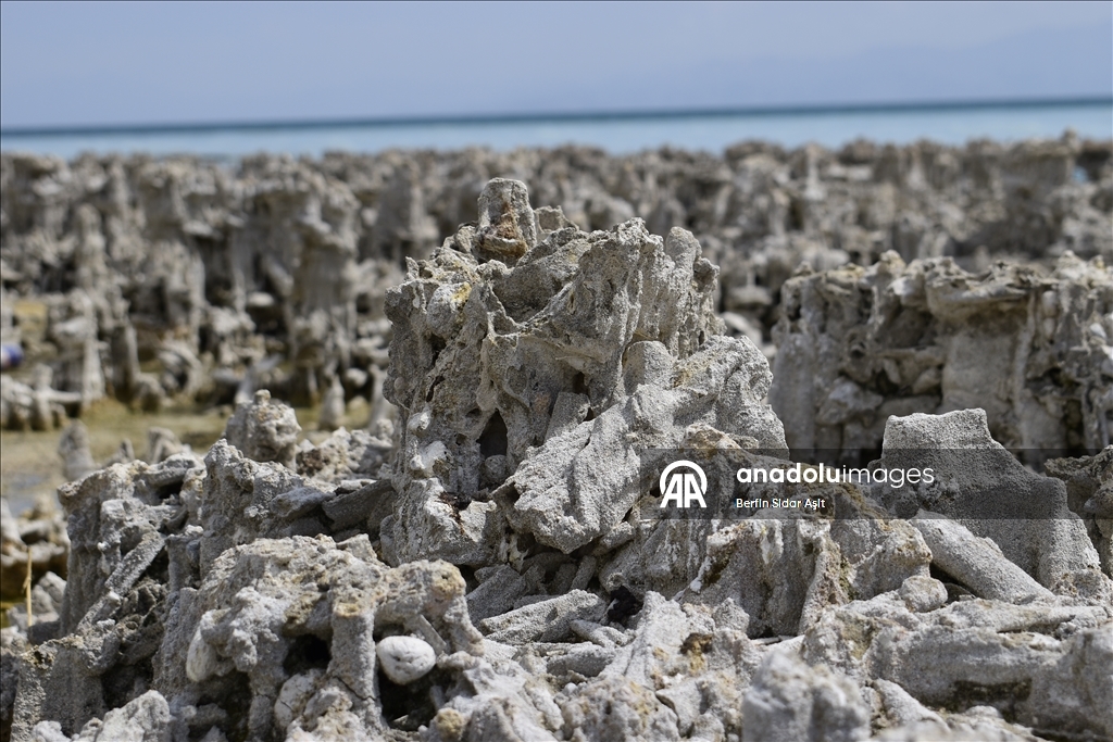 Divers imaged microbialites in depths of Lake Van