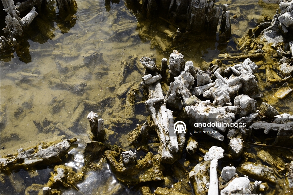 Divers imaged microbialites in depths of Lake Van