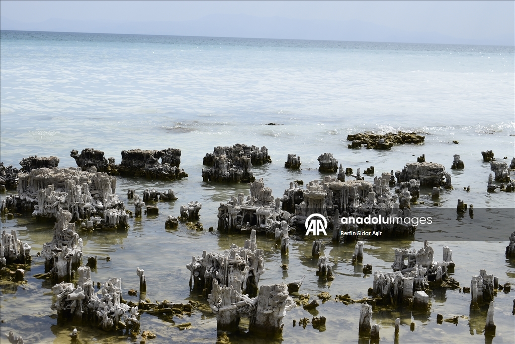 Divers imaged microbialites in depths of Lake Van