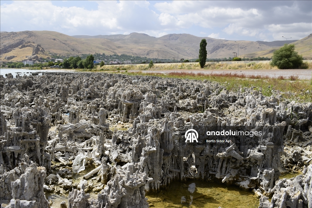 Divers imaged microbialites in depths of Lake Van