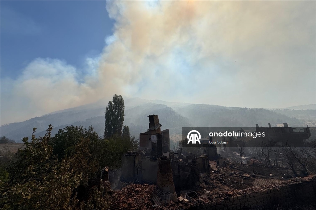 Sakarya'da çıkan orman yangınına müdahale sürüyor