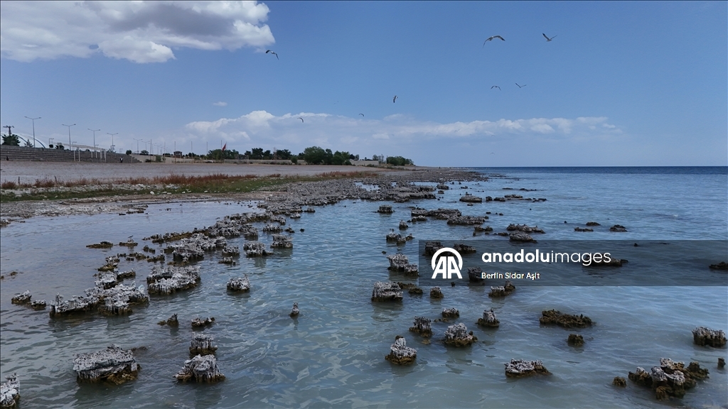 Divers imaged microbialites in depths of Lake Van