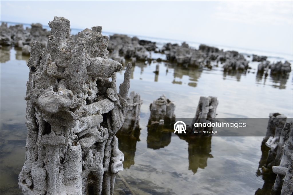 Divers imaged microbialites in depths of Lake Van
