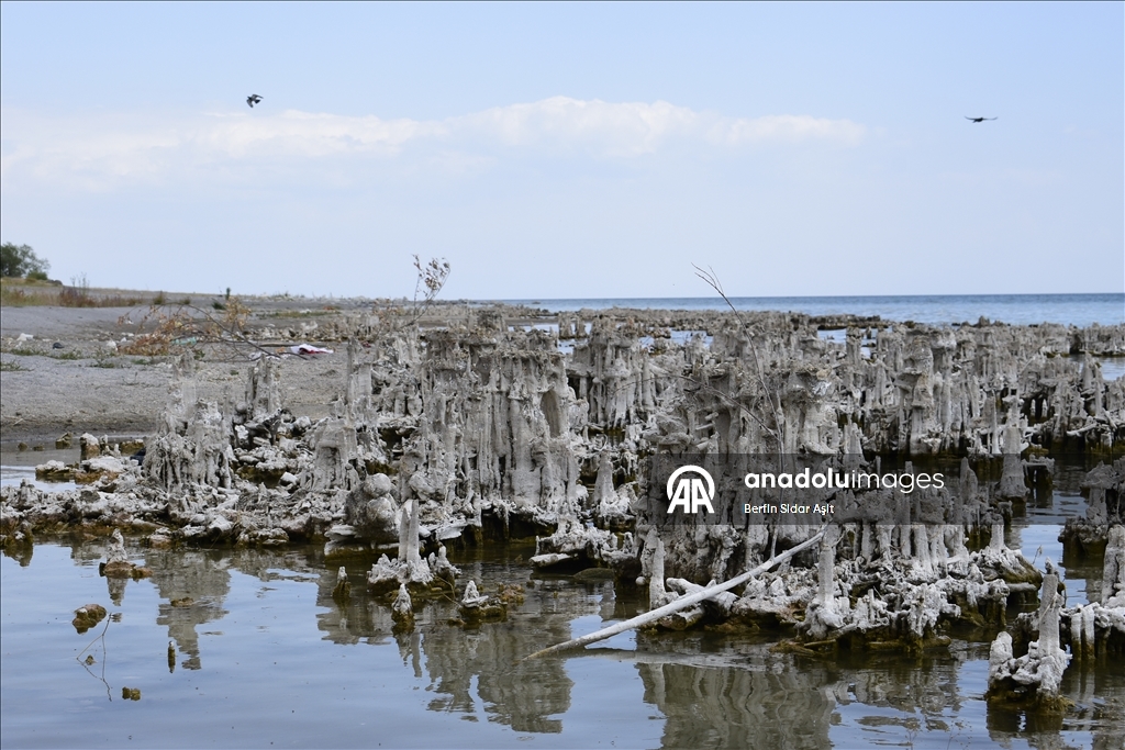Divers imaged microbialites in depths of Lake Van