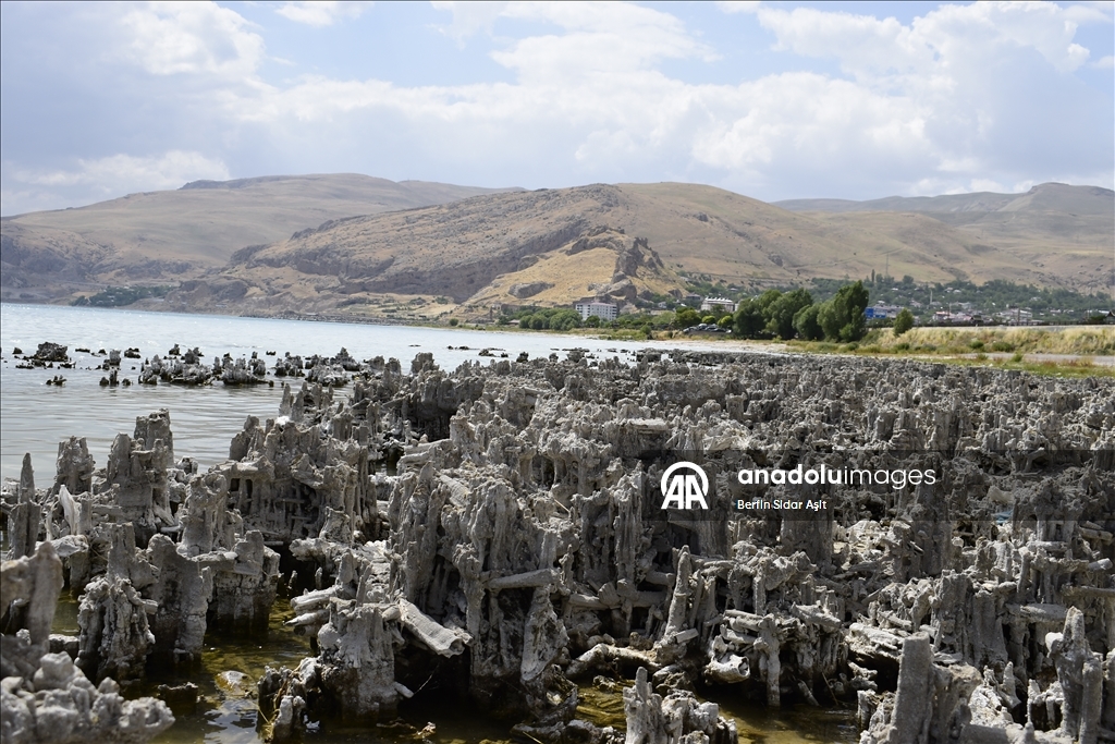 Divers imaged microbialites in depths of Lake Van