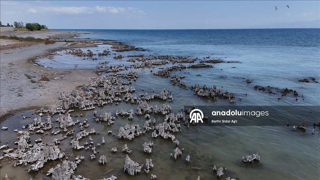 Divers imaged microbialites in depths of Lake Van
