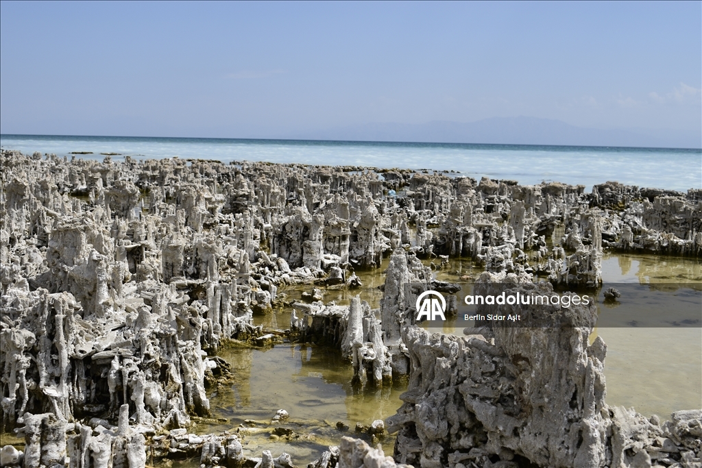 Divers imaged microbialites in depths of Lake Van