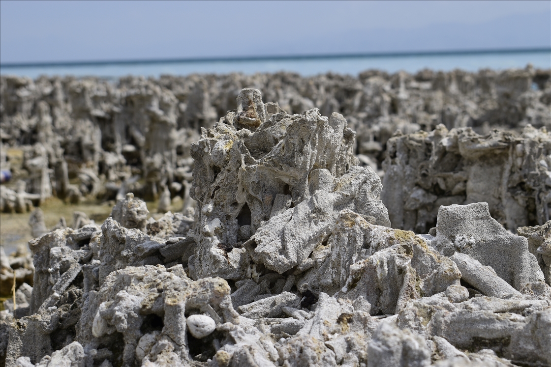 Divers imaged microbialites in depths of Lake Van