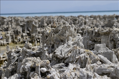 Divers imaged microbialites in depths of Lake Van