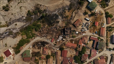 Sakarya'da çıkan orman yangınına müdahale sürüyor