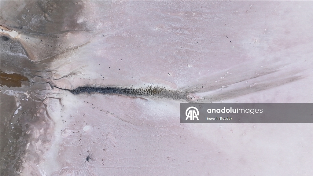 Преображение цвета озера Туз — завораживающее природное явление 3